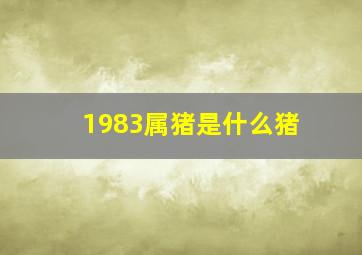 1983属猪是什么猪