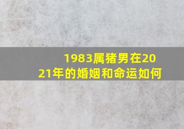 1983属猪男在2021年的婚姻和命运如何