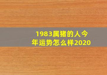 1983属猪的人今年运势怎么样2020