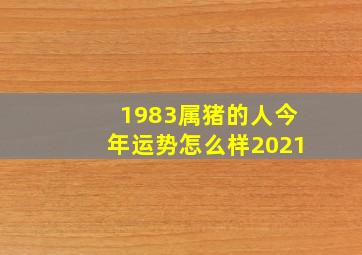 1983属猪的人今年运势怎么样2021