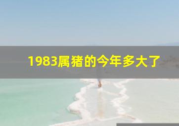 1983属猪的今年多大了