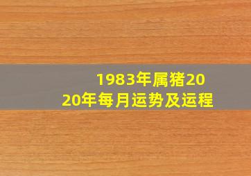 1983年属猪2020年每月运势及运程