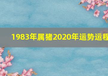 1983年属猪2020年运势运程