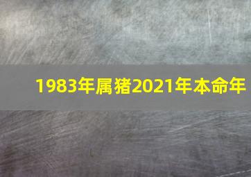 1983年属猪2021年本命年