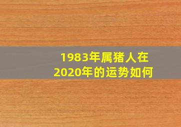 1983年属猪人在2020年的运势如何