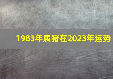 1983年属猪在2023年运势