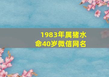 1983年属猪水命40岁微信网名