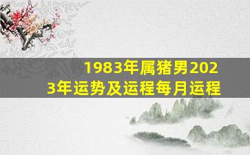 1983年属猪男2023年运势及运程每月运程