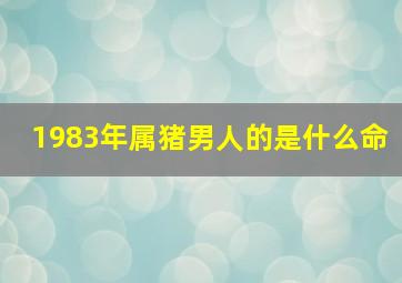 1983年属猪男人的是什么命