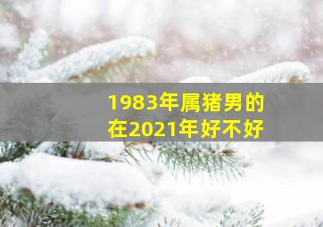 1983年属猪男的在2021年好不好