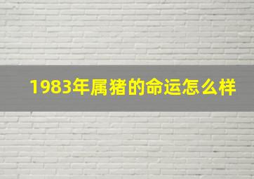 1983年属猪的命运怎么样