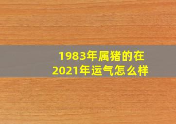 1983年属猪的在2021年运气怎么样