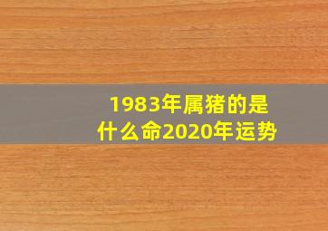 1983年属猪的是什么命2020年运势