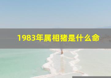 1983年属相猪是什么命