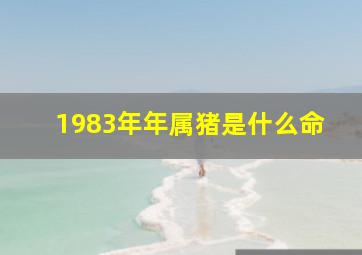 1983年年属猪是什么命