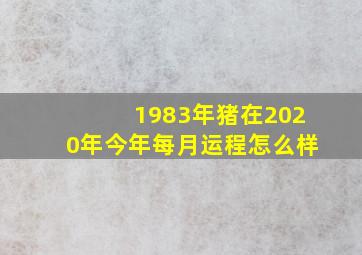 1983年猪在2020年今年每月运程怎么样