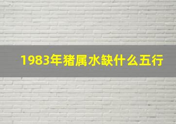 1983年猪属水缺什么五行