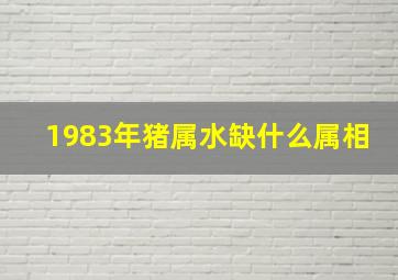 1983年猪属水缺什么属相