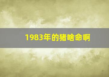 1983年的猪啥命啊