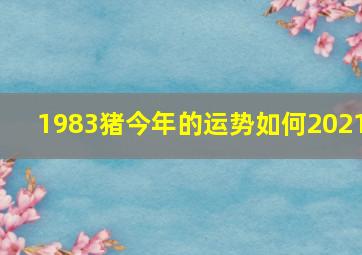 1983猪今年的运势如何2021