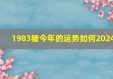 1983猪今年的运势如何2024