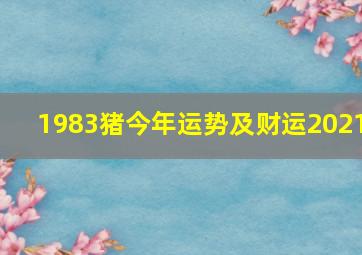 1983猪今年运势及财运2021