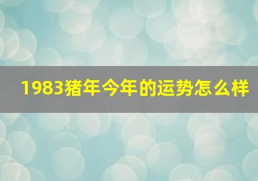 1983猪年今年的运势怎么样