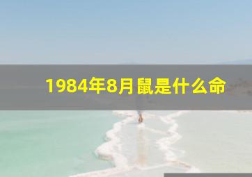 1984年8月鼠是什么命