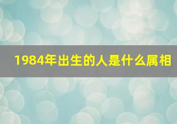 1984年出生的人是什么属相