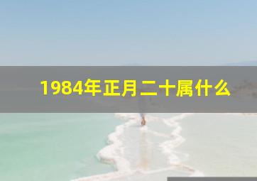 1984年正月二十属什么