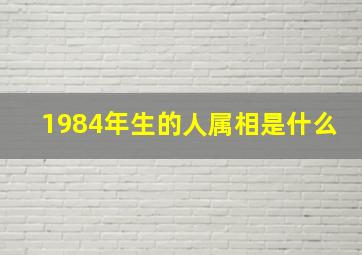 1984年生的人属相是什么