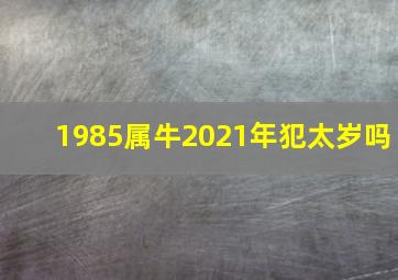 1985属牛2021年犯太岁吗