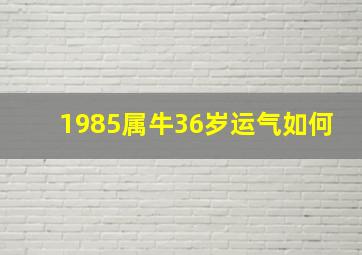 1985属牛36岁运气如何