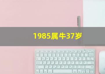 1985属牛37岁