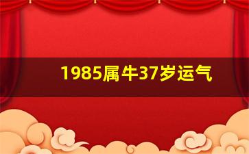 1985属牛37岁运气