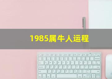 1985属牛人运程