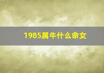 1985属牛什么命女