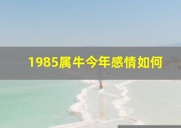 1985属牛今年感情如何