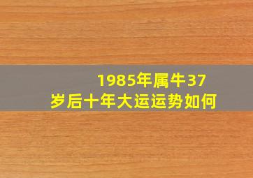 1985年属牛37岁后十年大运运势如何