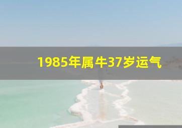 1985年属牛37岁运气