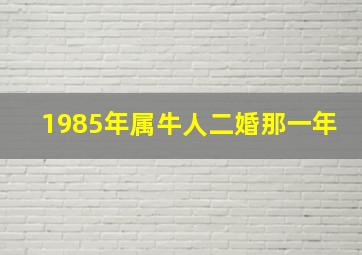 1985年属牛人二婚那一年