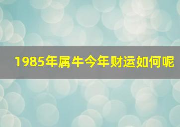 1985年属牛今年财运如何呢