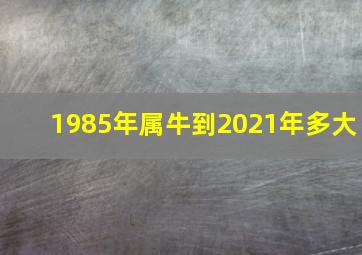 1985年属牛到2021年多大