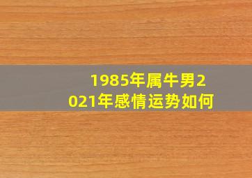 1985年属牛男2021年感情运势如何