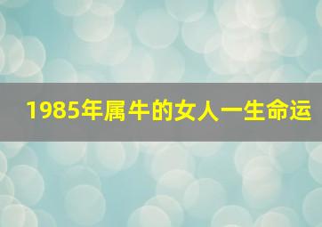 1985年属牛的女人一生命运