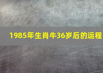 1985年生肖牛36岁后的运程