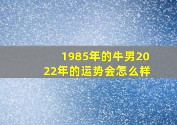 1985年的牛男2022年的运势会怎么样