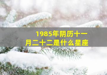 1985年阴历十一月二十二是什么星座