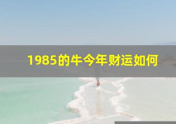 1985的牛今年财运如何