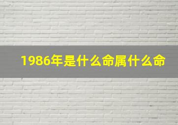 1986年是什么命属什么命